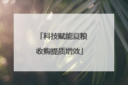 科技赋能夏粮收购提质增效