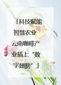 科技赋能智慧农业 云南咖啡产业插上“数字翅膀”