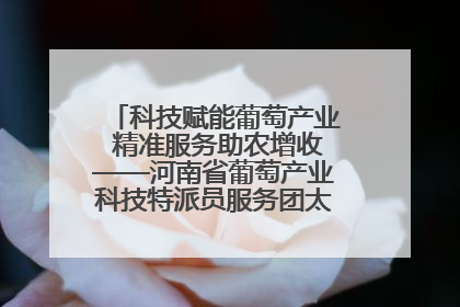 科技赋能葡萄产业 精准服务助农增收——河南省葡萄产业科技特派员服务团太康县科技服务纪实
