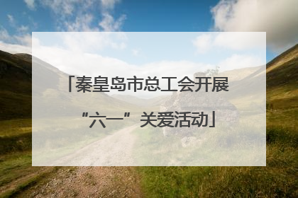 秦皇岛市总工会开展“六一”关爱活动