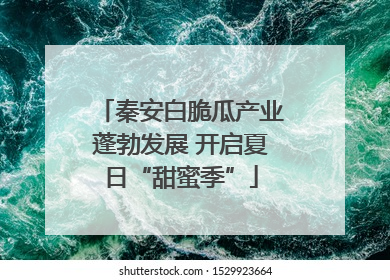 秦安白脆瓜产业蓬勃发展 开启夏日“甜蜜季”