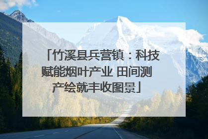竹溪县兵营镇：科技赋能烟叶产业 田间测产绘就丰收图景