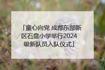 童心向党 成都东部新区石盘小学举行2024级新队员入队仪式