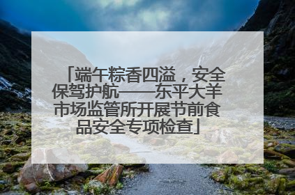 端午粽香四溢，安全保驾护航——东平大羊市场监管所开展节前食品安全专项检查