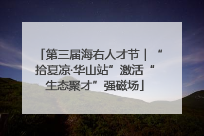 第三届海右人才节｜“拾夏凉·华山站”激活“生态聚才”强磁场