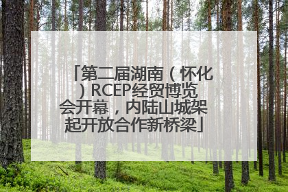 第二届湖南（怀化）RCEP经贸博览会开幕，内陆山城架起开放合作新桥梁