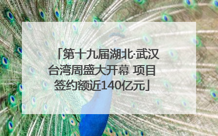 第十九届湖北·武汉台湾周盛大开幕 项目签约额近140亿元