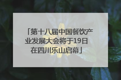 第十八届中国餐饮产业发展大会将于19日在四川乐山启幕