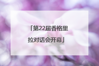 第22届香格里拉对话会开幕
