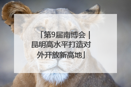 第9届南博会｜昆明高水平打造对外开放新高地