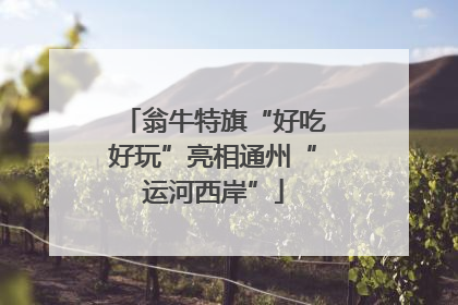 翁牛特旗“好吃好玩”亮相通州“运河西岸”