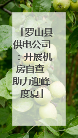 罗山县供电公司：开展机房自查 助力迎峰度夏