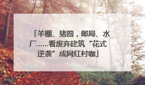 羊棚、猪圈，邮局、水厂……看废弃建筑“花式逆袭”成网红村咖
