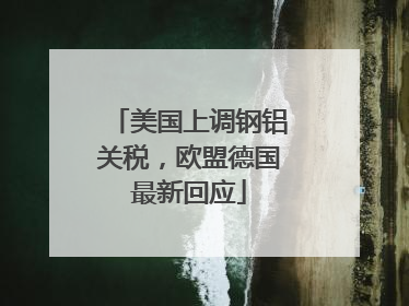 美国上调钢铝关税，欧盟德国最新回应