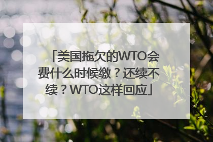 美国拖欠的WTO会费什么时候缴？还续不续？WTO这样回应