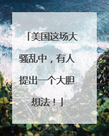 美国这场大骚乱中，有人提出一个大胆想法！