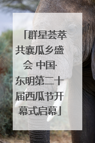 群星荟萃共襄瓜乡盛会 中国·东明第二十届西瓜节开幕式启幕