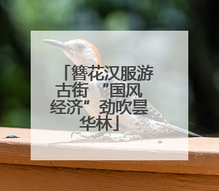 簪花汉服游古街 “国风经济”劲吹昙华林