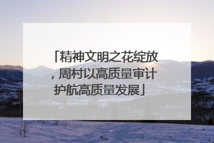 精神文明之花绽放，周村以高质量审计护航高质量发展