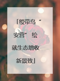 绶带鸟“安营” 绘就生态增收新景致