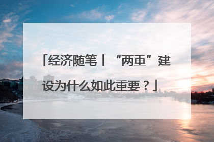 经济随笔丨“两重”建设为什么如此重要？