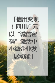信用变现！四川广元以“诚信密码”激活中小微企业发展动能