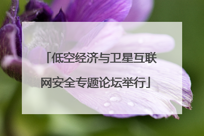 低空经济与卫星互联网安全专题论坛举行