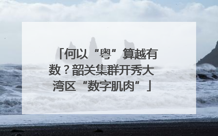 何以“粤”算越有数？韶关集群开秀大湾区“数字肌肉”