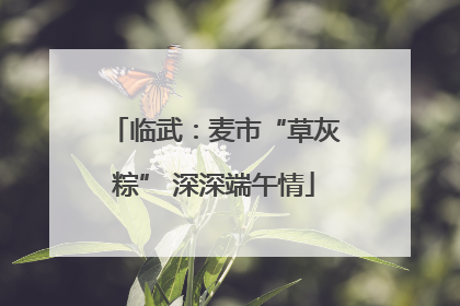 临武：麦市“草灰粽” 深深端午情