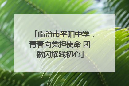 临汾市平阳中学：青春向党担使命 团徽闪耀践初心