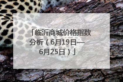 临沂商城价格指数分析（6月19日—6月25日）