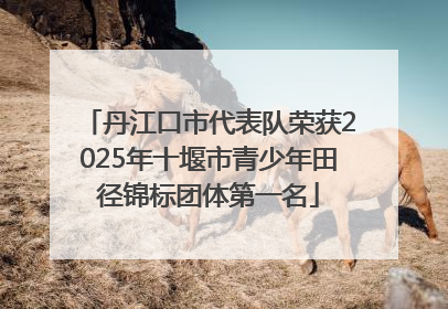 丹江口市代表队荣获2025年十堰市青少年田径锦标团体第一名