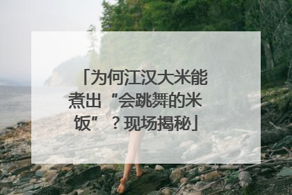 为何江汉大米能煮出“会跳舞的米饭”？现场揭秘