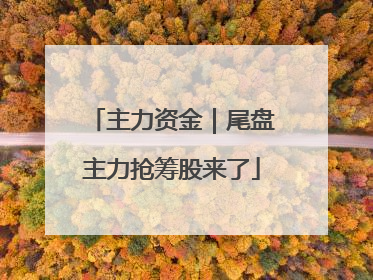 主力资金｜尾盘主力抢筹股来了