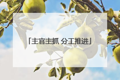 主官主抓 分工推进
