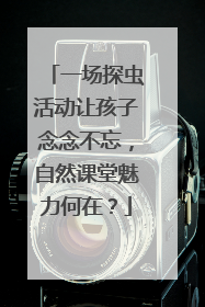 一场探虫活动让孩子念念不忘，自然课堂魅力何在？