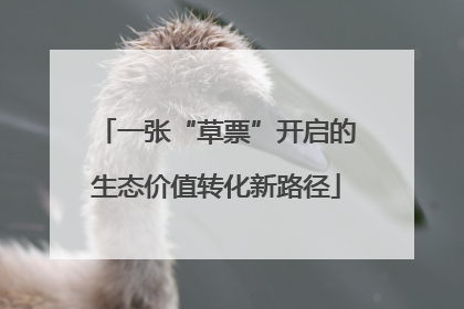 一张“草票”开启的生态价值转化新路径