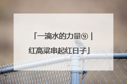 一滴水的力量⑨｜红高粱串起红日子