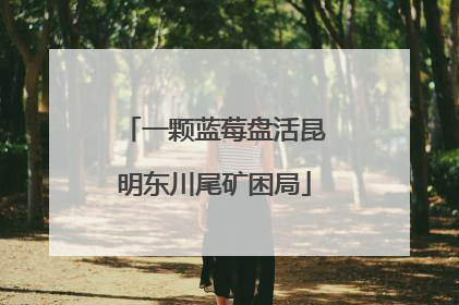 一颗蓝莓盘活昆明东川尾矿困局