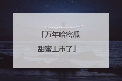 万年哈密瓜甜蜜上市了