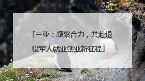 三亚：凝聚合力，共赴退役军人就业创业新征程
