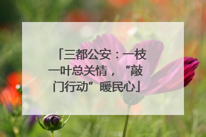 三都公安：一枝一叶总关情，“敲门行动”暖民心
