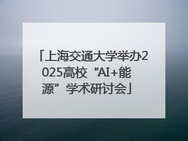 上海交通大学举办2025高校“AI+能源”学术研讨会