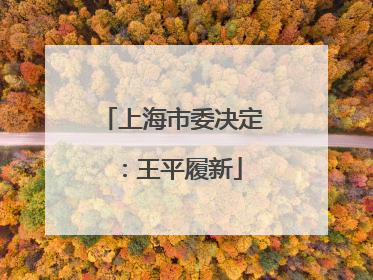上海市委决定：王平履新