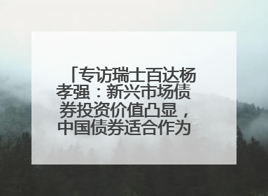 专访瑞士百达杨孝强：新兴市场债券投资价值凸显，中国债券适合作为“稳定器”