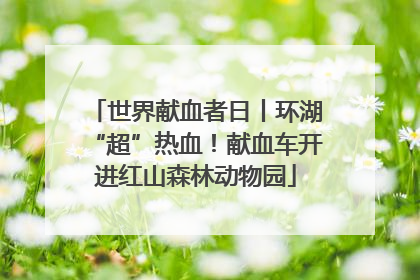 世界献血者日丨环湖“超”热血！献血车开进红山森林动物园