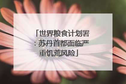世界粮食计划署：苏丹首都面临严重饥荒风险