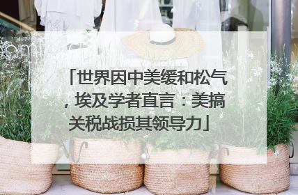 世界因中美缓和松气，埃及学者直言：美搞关税战损其领导力