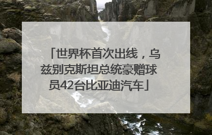 世界杯首次出线，乌兹别克斯坦总统豪赠球员42台比亚迪汽车