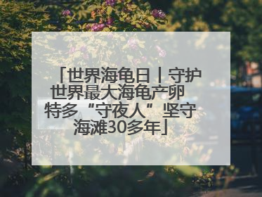 世界海龟日丨守护世界最大海龟产卵 特多“守夜人”坚守海滩30多年